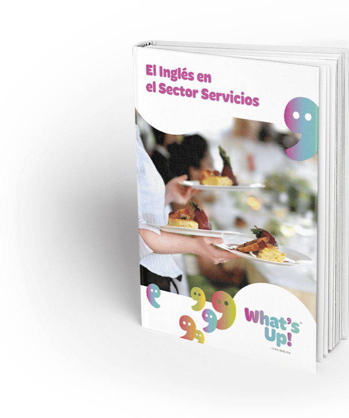 SERVICIOS EN INGL S visual data 6