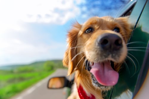 iStock-521085904.jpg